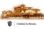 chateau-de-brindos